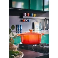 Le Creuset Cocotte Fonte Rond 24 Cm Volcanique 10 Le Creuset Cocotte Fonte Rond 24 Cm Volcanique -Fournitures De Cuisine 213180 3 3 Cocotte fonte rond 24 cm volcanique Le Creuset