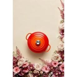 Le Creuset Cocotte Fonte Rond 24 Cm Volcanique 11 Le Creuset Cocotte Fonte Rond 24 Cm Volcanique -Fournitures De Cuisine 213180 4 3 Cocotte fonte rond 24 cm volcanique Le Creuset