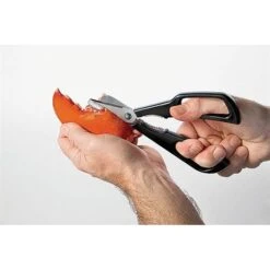 Ciseaux à Crustacés Noir -Fournitures De Cuisine 45120 2 3 Ciseaux a crustaces noir Moha