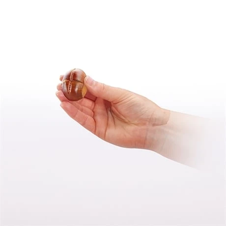 Coupe Chataîgnes Presto 5 Coupe Chataîgnes Presto – Image 3