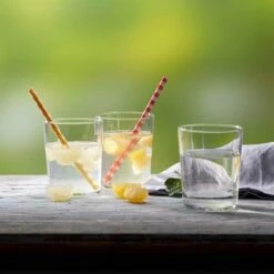 Presse-agrume For Drinks -Fournitures De Cuisine 613032 2 1 Presse agrume For Drinks Betty Bossi