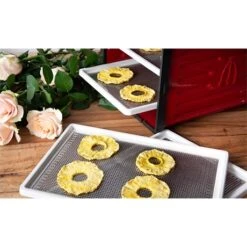 Déshydrateur Pro 6 Plateaux 5500 Cm² 500 W 8 Déshydrateur Pro 6 Plateaux 5500 Cm² 500 W -Fournitures De Cuisine 710001 2 2 Deshydrateur pro 6 plateaux 5500 cm 500 W Atacama
