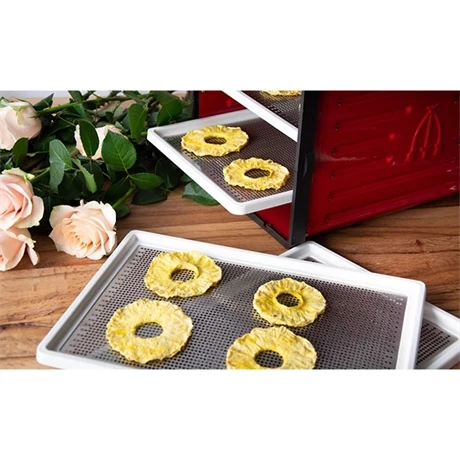 Déshydrateur Pro 6 Plateaux 5500 Cm² 500 W 5 Déshydrateur Pro 6 Plateaux 5500 Cm² 500 W – Image 3