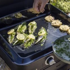 Plancha à Gaz Combo Enosign 65 Bleu Navy 2 Feux -Fournitures De Cuisine 781013 3 4 Plancha a gaz Combo enosign 65 bleu navy 2 feux ENO